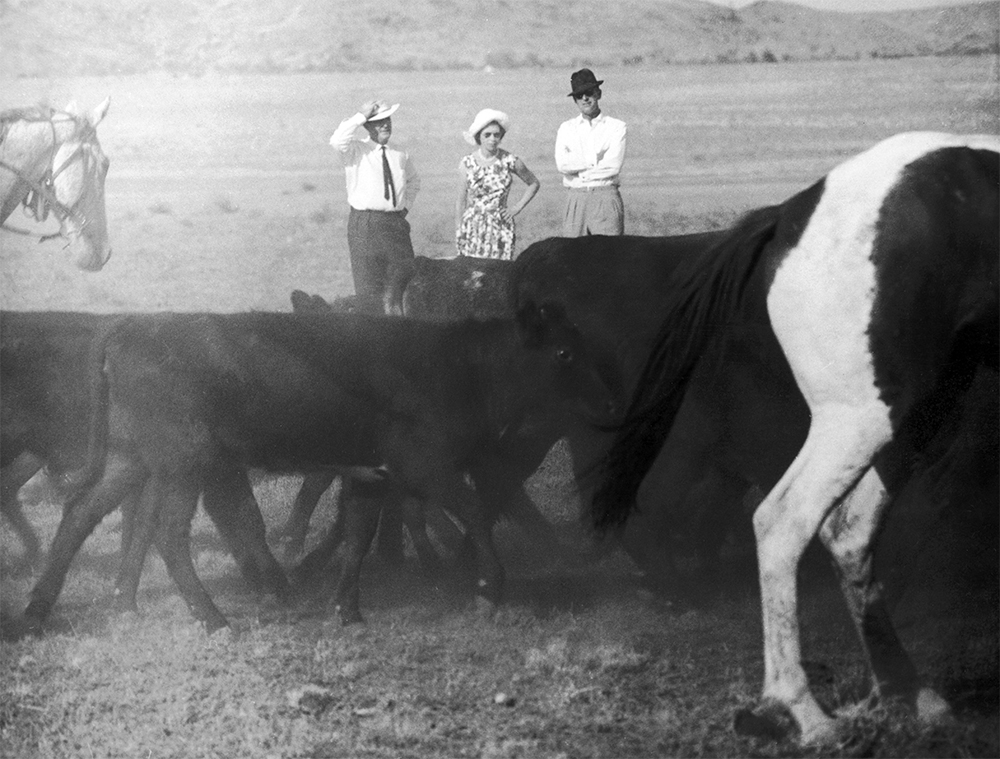The queen and the duke of Edinburgh watching stockmen round up cattle near Alice Springs, 1963 (Trinity Mirror/Mirrorpix/Alamy)